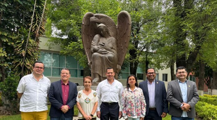 Se reúne delegado de IMSS Guanajuato con legisladores