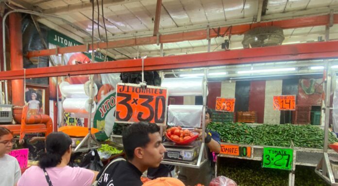 Aranceles a jitomate tiene en zozobra a productores guanajuatenses