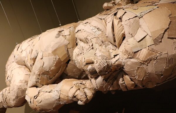 Si eres artista plástico en León, así puedes celebrar los 450 años de la ciudad