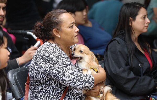 Secretaría de Salud realiza con éxito jornada de esterilización canina y felina en Celaya