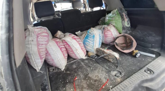 Detienen en la capital a cinco presuntos lupios