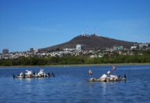 Impulsan sustentabilidad en el Parque Metropolitano León