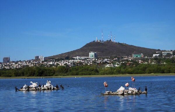 Presa el Palote al 73 por ciento de su capacidad, reporta SAPAL