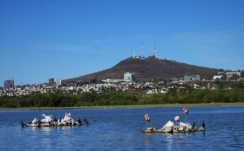 Estas serán las actividades por el Día de la Familia en León