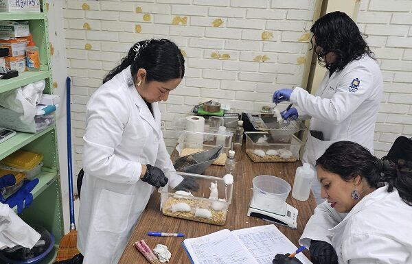 Investigadores de la UG estudian plantas para tratar Parkinson