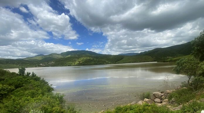 Presas más importantes en Guanajuato superan 80% de su capacidad