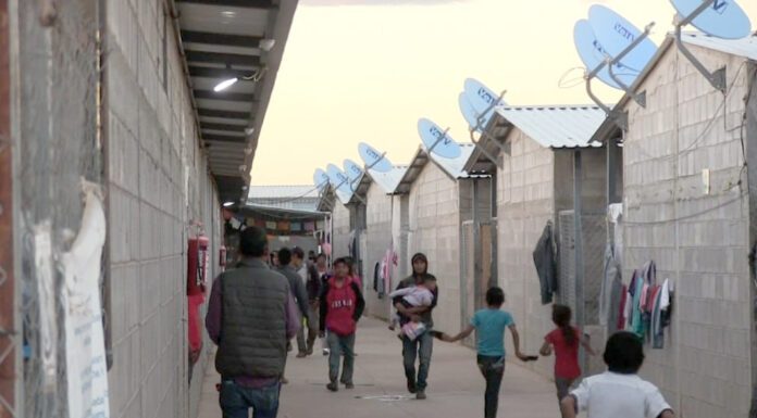 Proteger derechos humanos de jornaleros, la prioridad: Libia Dennise