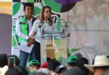 Virginia Magaña asumirá dirigencia estatal del PVEM en Guanajuato