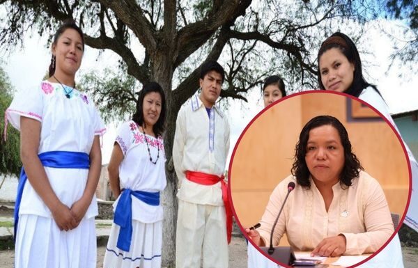 A consulta reformas a leyes sobre pueblos originarios y diversidad sexual