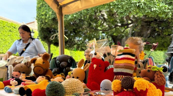 Apoya Silao a mujeres emprendedoras