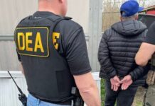 Trabajarán DEA y México para desmantelar redes del narcotráfico