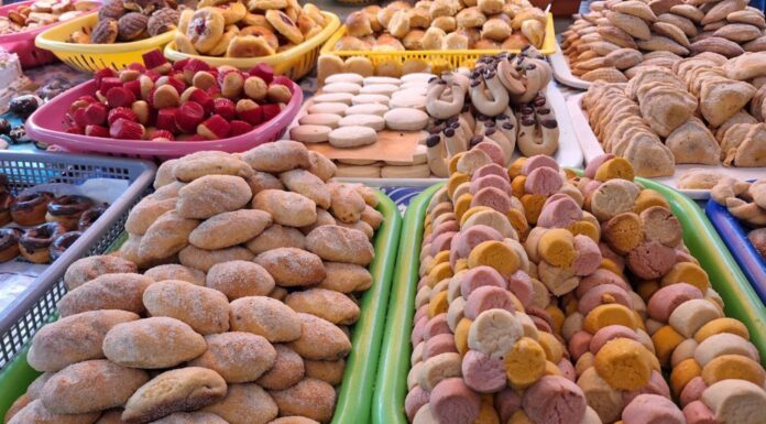 A 160 años de la Fiesta de los Panecitos, una tradición viva en León