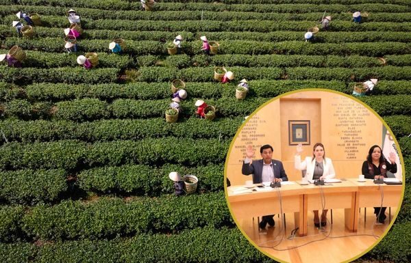 Buscan proteger a jornaleros migrantes en Guanajuato