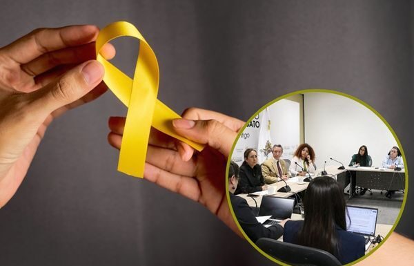 Van congresistas por Ley de Prevención y Atención del Suicidio en Guanajuato