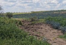 Confirma Fiscalía hallazgo de entierro clandestino en la capital