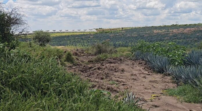 Confirma Fiscalía hallazgo de entierro clandestino en la capital