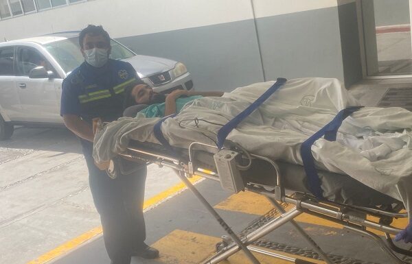 Joven leones accidentado en Ensenada, ya es atendido en Guanajuato