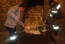 Colectan 200 toneladas de basura en Cervantino