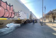 Detienen tren de carga en León; habría sido para robar