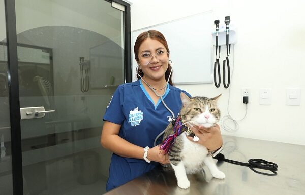 León es líder en atención veterinaria