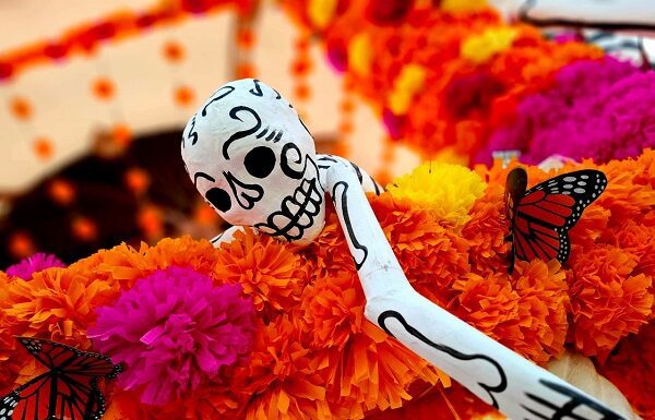 Ruta especial del UNEBUS llegará de Silao al Parque Bicentenario