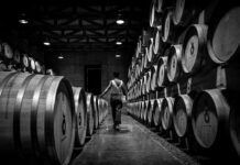 Temporada de vendimias deja 11.6 MDP en derrama económica