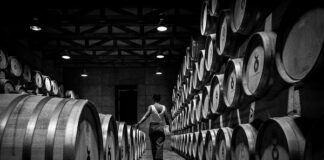 Guanajuato representa a México en Bacchus 2026