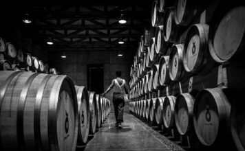 Guanajuato representa a México en Bacchus 2026