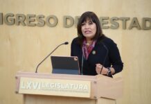 Identidad de género debe ser derecho constitucional: Ruth Tiscareño