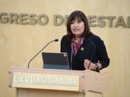 Identidad de género debe ser derecho constitucional: Ruth Tiscareño