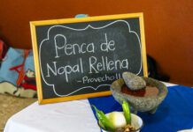 Fomenta Secretaría de Salud el platillo saludable en Guanajuato