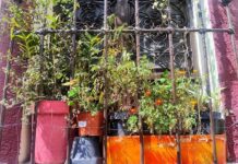 Realiza Secretaría de Salud jornada de detección de cáncer de próstata en Salamanca