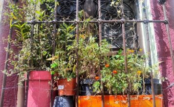 Realiza Secretaría de Salud jornada de detección de cáncer de próstata en Salamanca