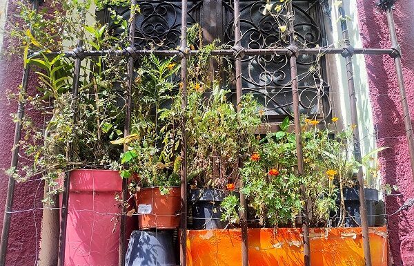 Realiza Secretaría de Salud jornada de detección de cáncer de próstata en Salamanca