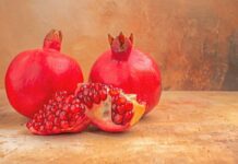 Ayuda COFOCE en primera exportación a Estados Unidos de granada guanajuatense