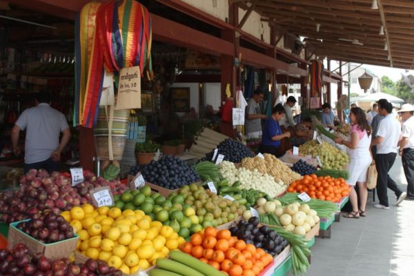 mercado de abastos