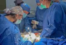 Realiza IMSS Guanajuato procuración de órganos