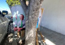 Realiza “Kikis” Magaña limpieza a fondo en comité estatal de PVEM