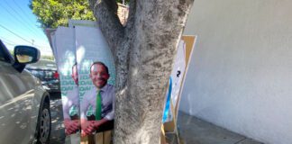 Realiza “Kikis” Magaña limpieza a fondo en comité estatal de PVEM