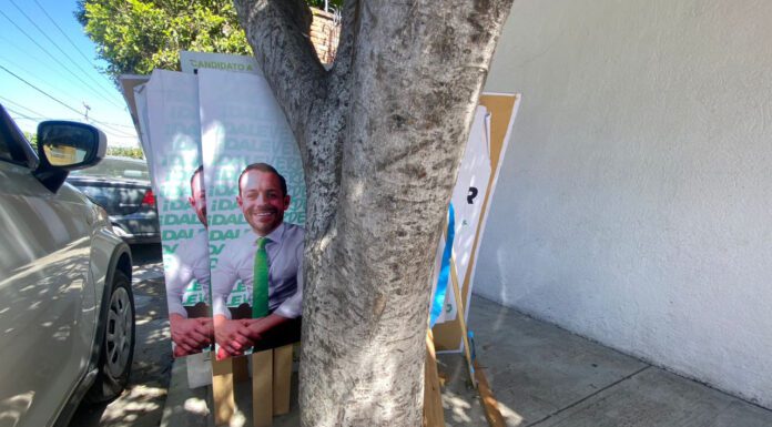 Realiza “Kikis” Magaña limpieza a fondo en comité estatal de PVEM