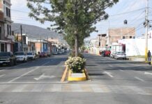 Trabajan en fortalecer imagen urbana de Irapuato