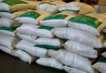 Entregan apoyos para el campo de Silao