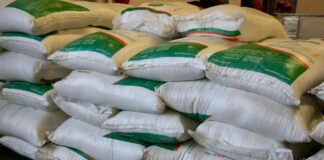 Entregan apoyos para el campo de Silao