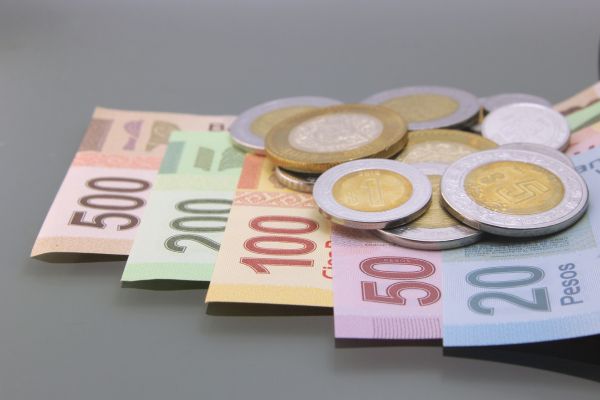 El terrorismo es la negación de las vías legales, del diálogo y la mediación, y en el caso que nos ocupa, una amenaza constante en la zona (17)