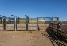 Estados Unidos reporta corrales vacíos y desabasto de carne