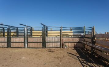 Estados Unidos reporta corrales vacíos y desabasto de carne