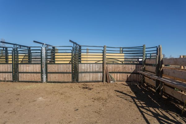 El terrorismo es la negación de las vías legales, del diálogo y la mediación, y en el caso que nos ocupa, una amenaza constante en la zona (20)