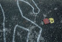 En Guanajuato cada 4 horas se inicia investigación judicial por homicidio: OCL