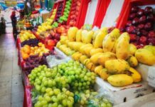 Canasta básica incrementa por embates del crimen organizado: CNA