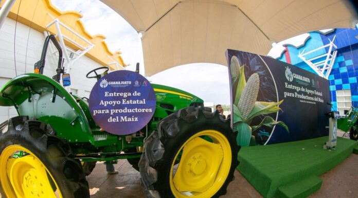 Entrega Guanajuato apoyos a productores de maíz